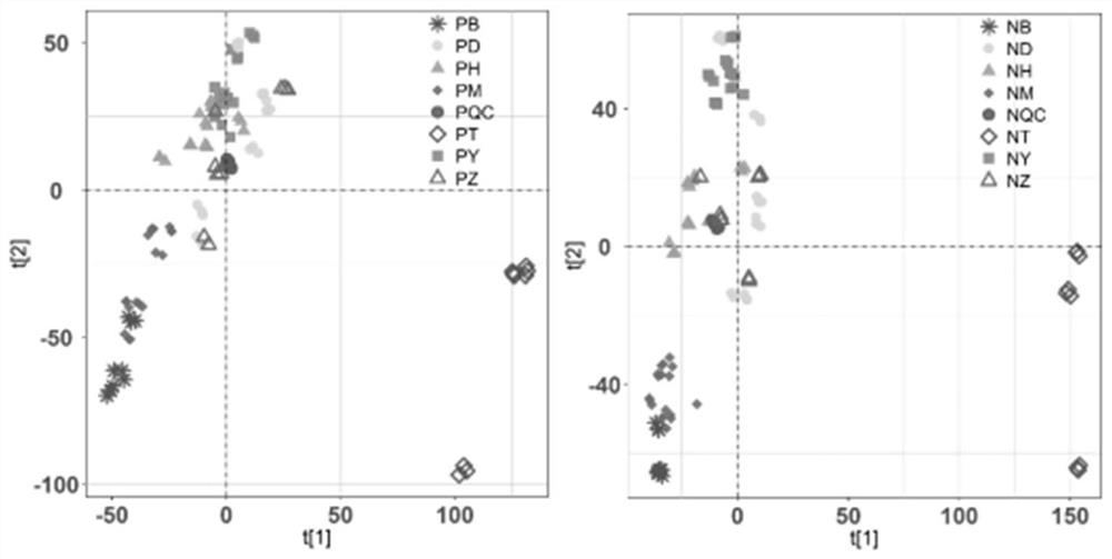 Application of metabonomics analysis technology to identification of Danxiang Dancong tea