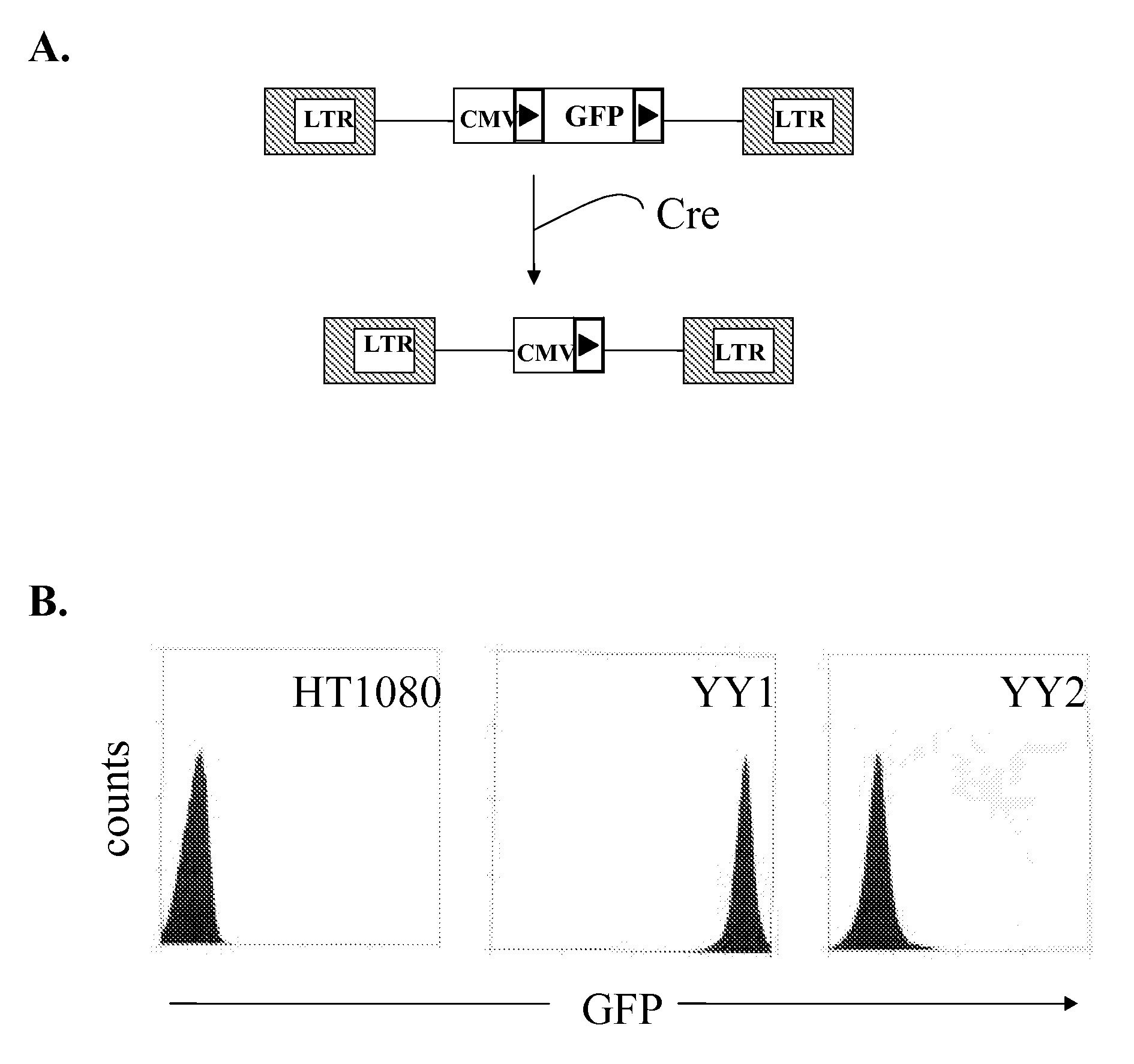 Novel lentiviral vectors for site-specific gene insertion