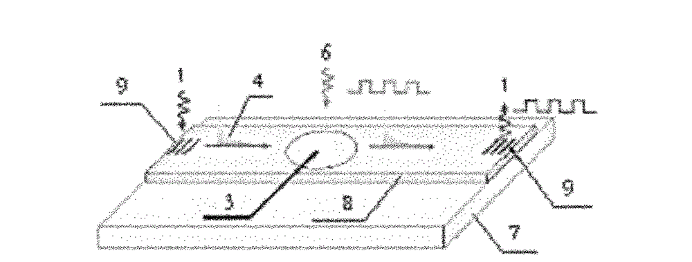 Terahertz surface plasma wave optical modulator and modulation method thereof