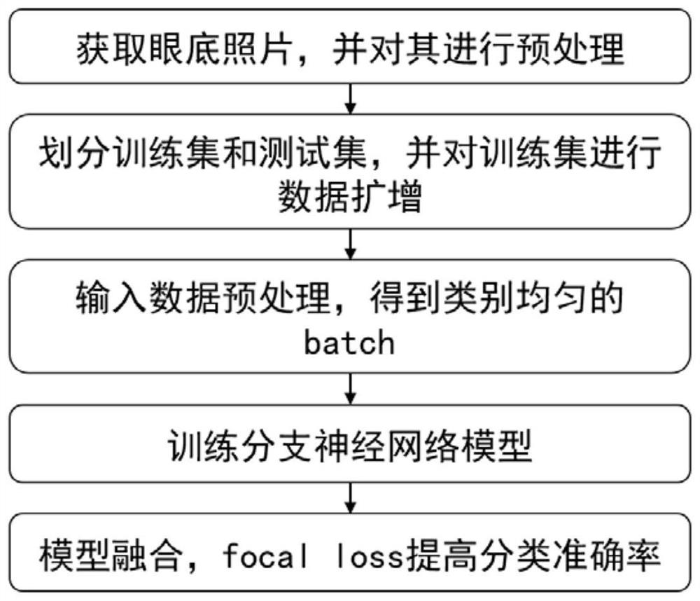 Eye fundus photo classification method and eye fundus image processing method and system