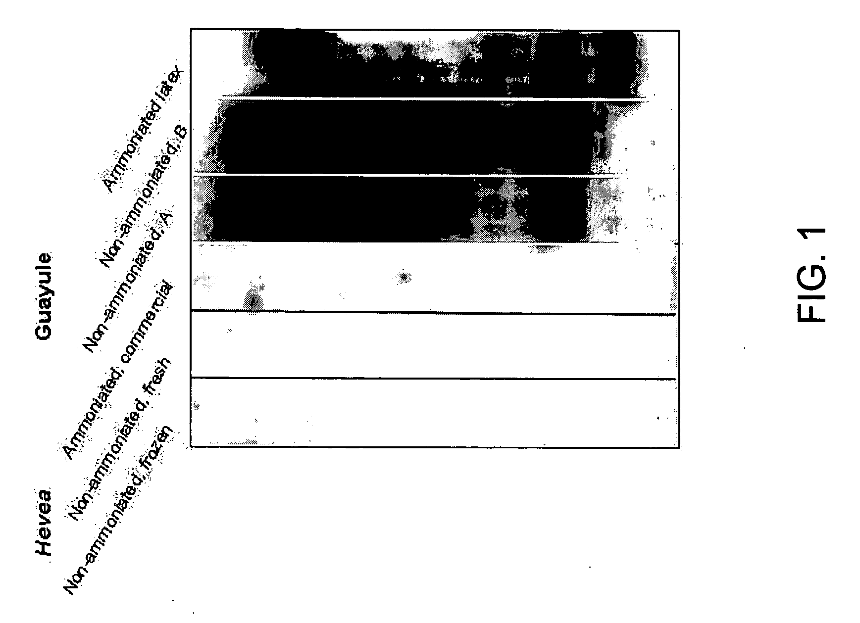 Non-synthetic low-protein rubber latex product and method of testing