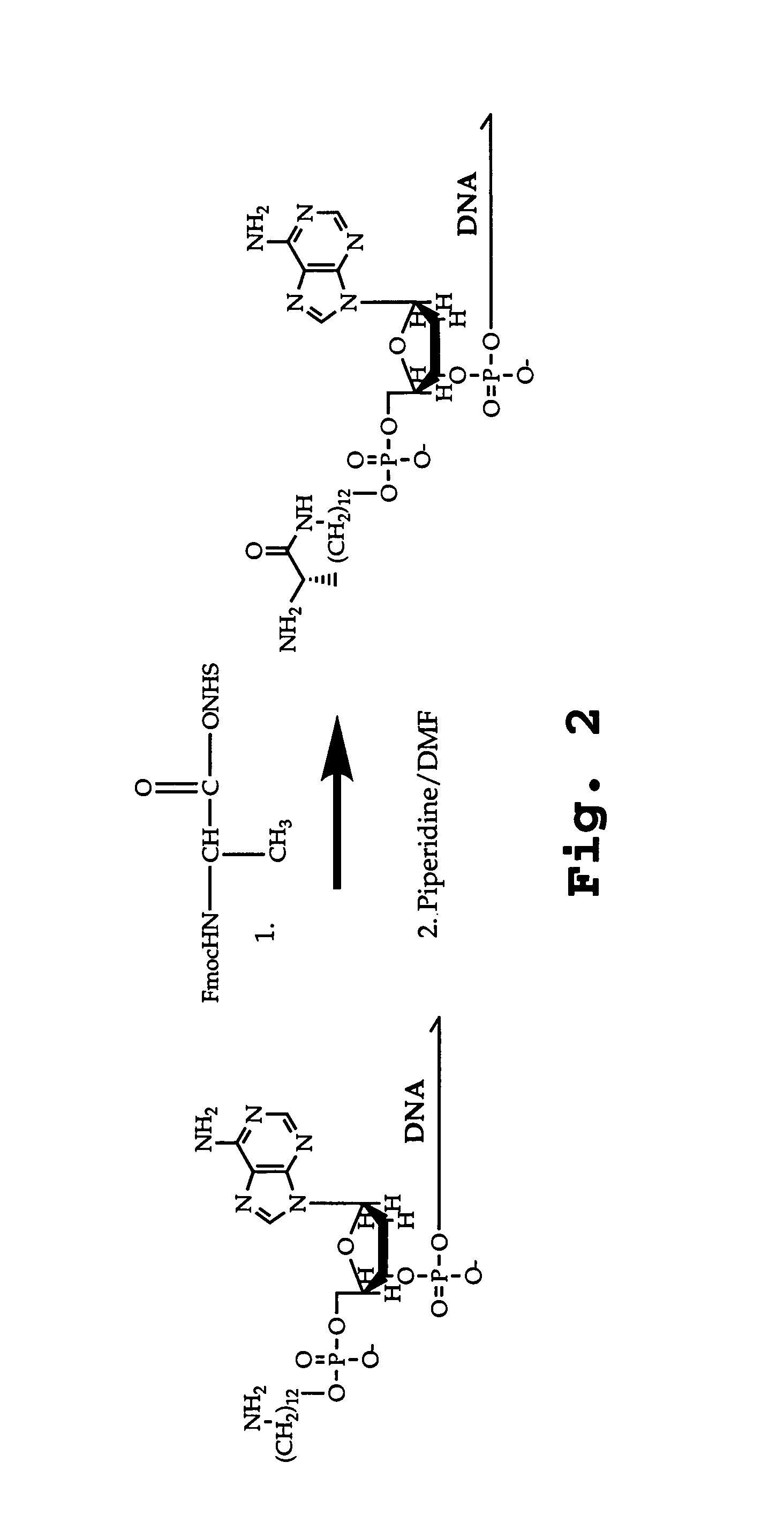 DNA-templated combinatorial library chemistry