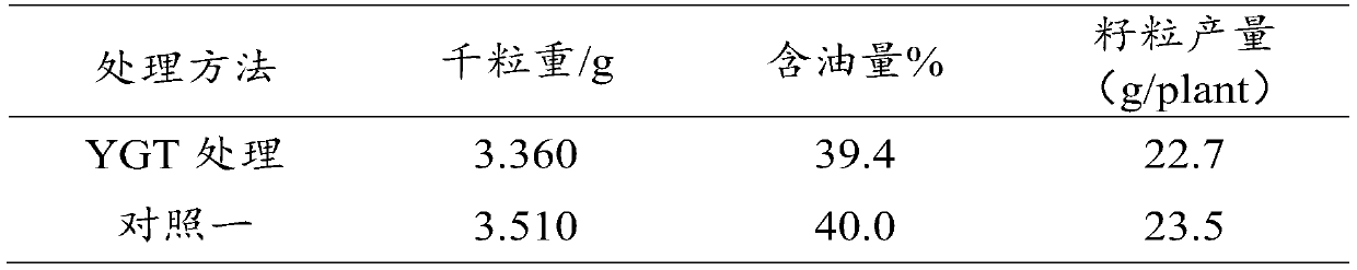 Regulating agent for regulating high-temperature stress of oilseed rape siliques