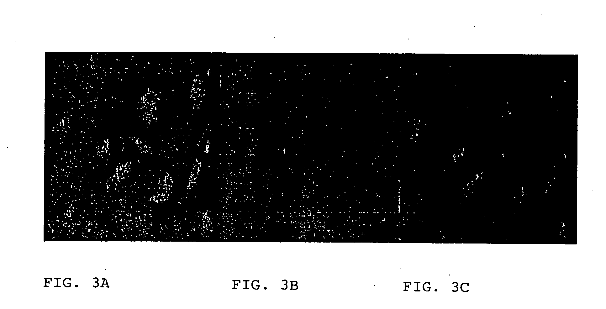 Agonist polypeptide of receptor for ZOT and zonulin