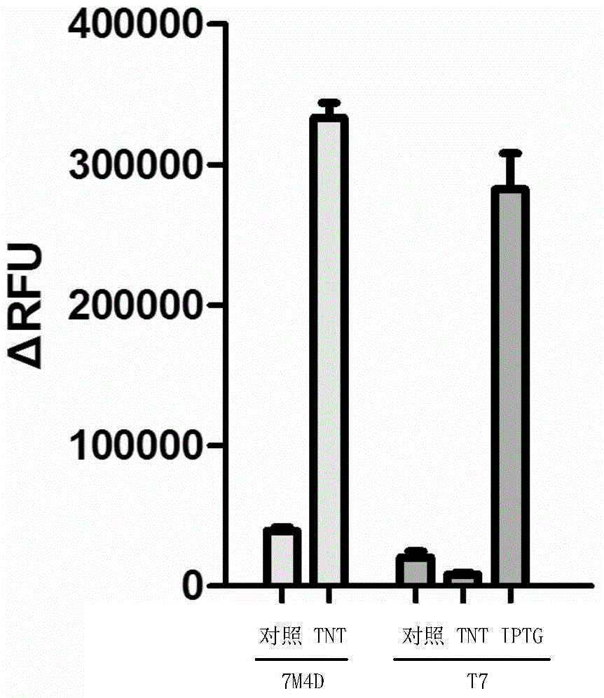 Promoter7M4D and application thereof