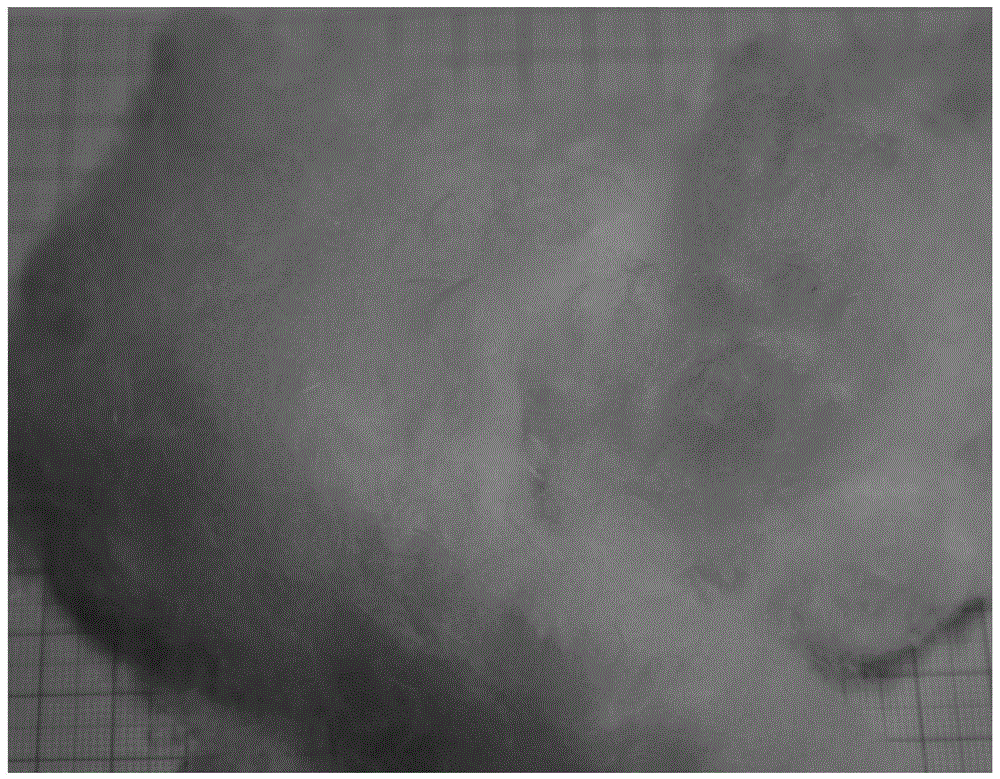 Barium zirconate fiber and method for preparing same