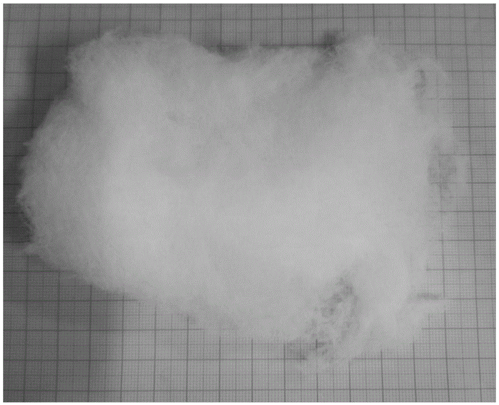 Barium zirconate fiber and method for preparing same