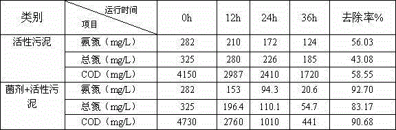 Paracoccus aminovorans LH-N40 and heterotrophic nitrification-aerobic denitrification microbial inoculum, and preparation method and application thereof