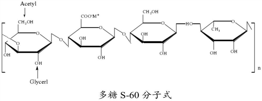 Preparation method and application of fish egg model