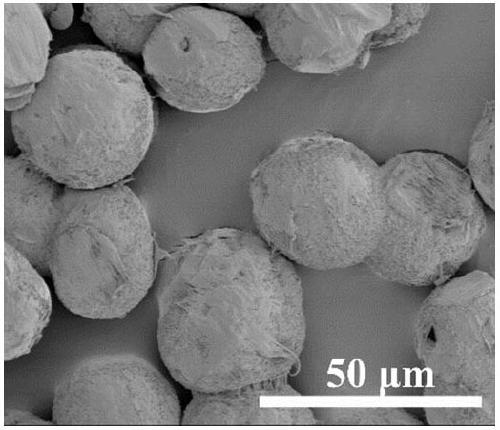 A kind of polypropylene powder for selective laser sintering and its preparation method