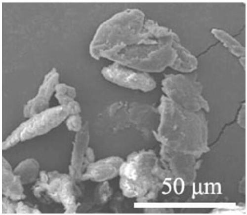 A kind of polypropylene powder for selective laser sintering and its preparation method