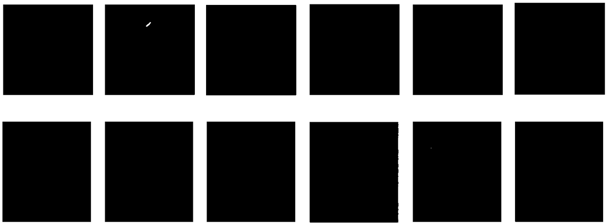 Double-layer dobernoulli stochastic finite ant colony multicellular tracking method