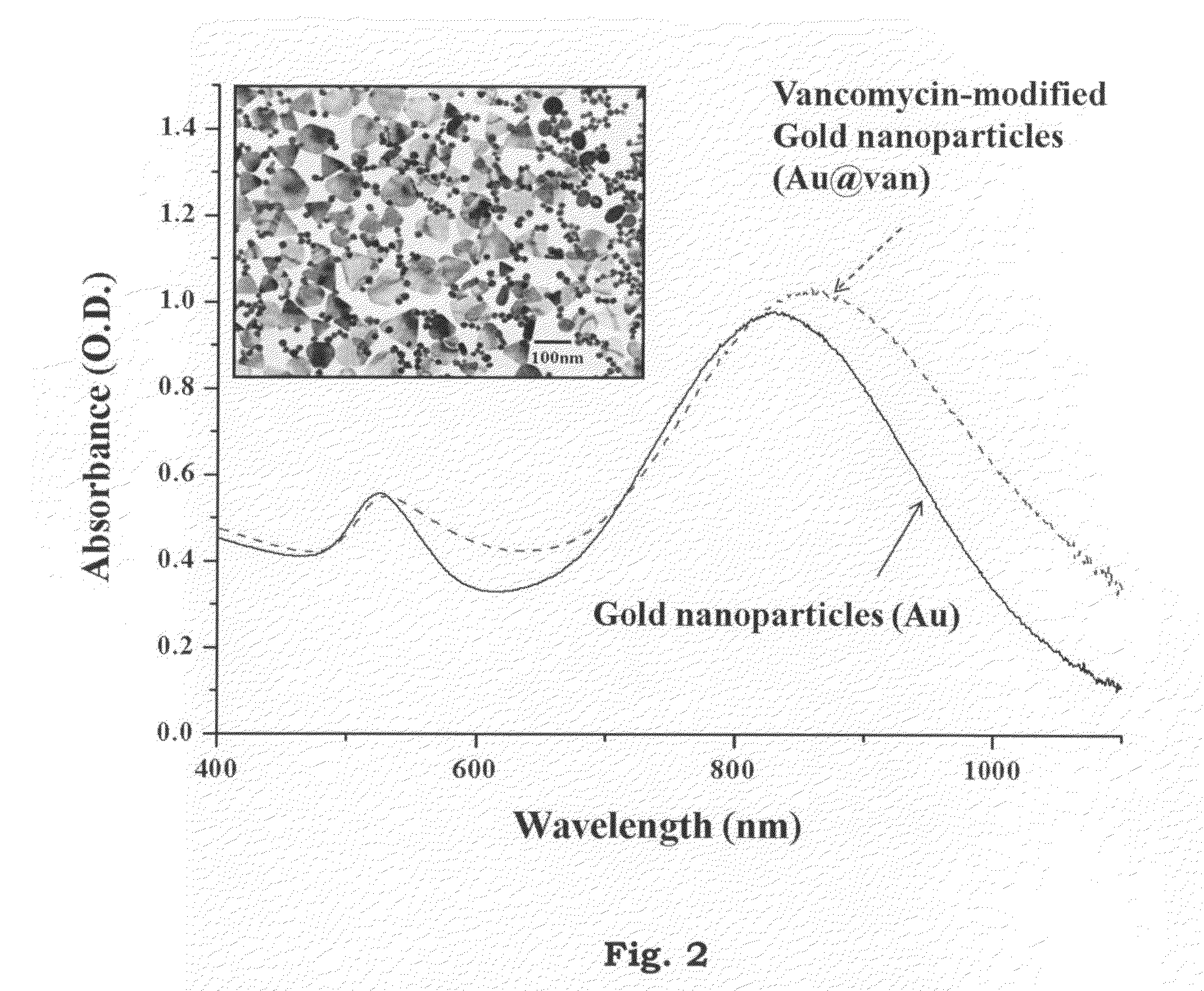 Functional nanoparticle-based antibiotics and preparation method thereof