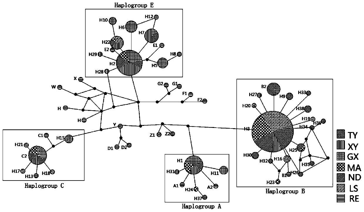 A screening method for chicken breeding materials