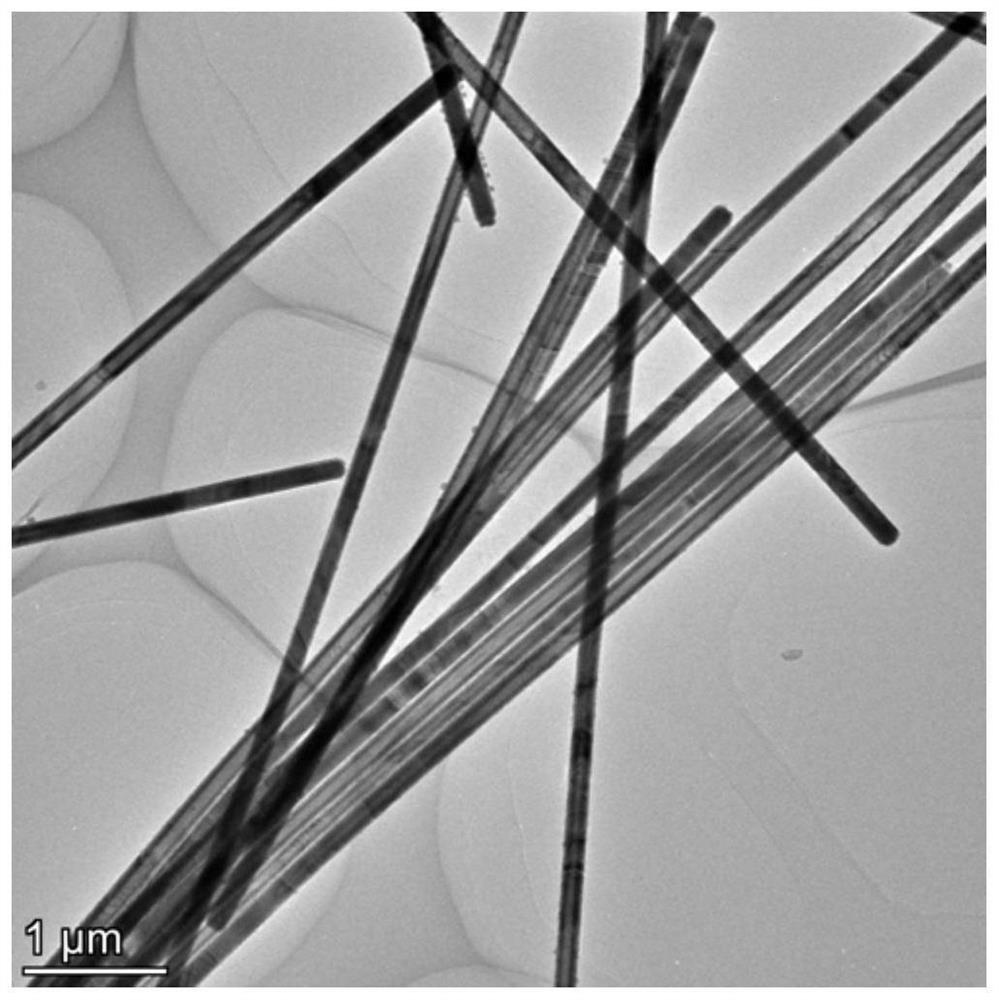 Flexible self-supporting tellurium nanotube composite electrode, preparation method thereof and flexible battery