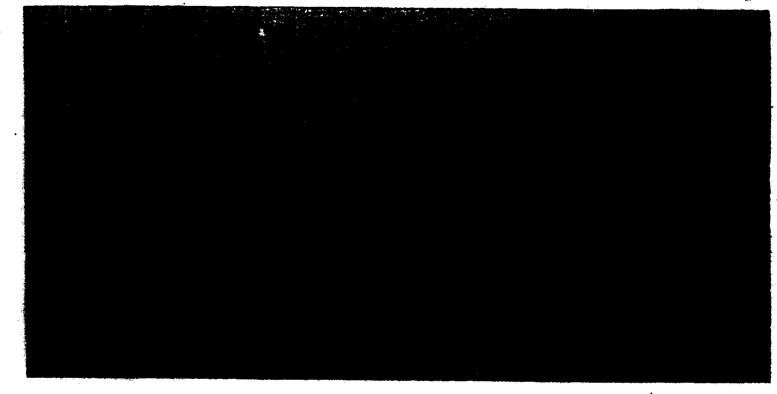 Terminal having surface layer , and part and product having the same