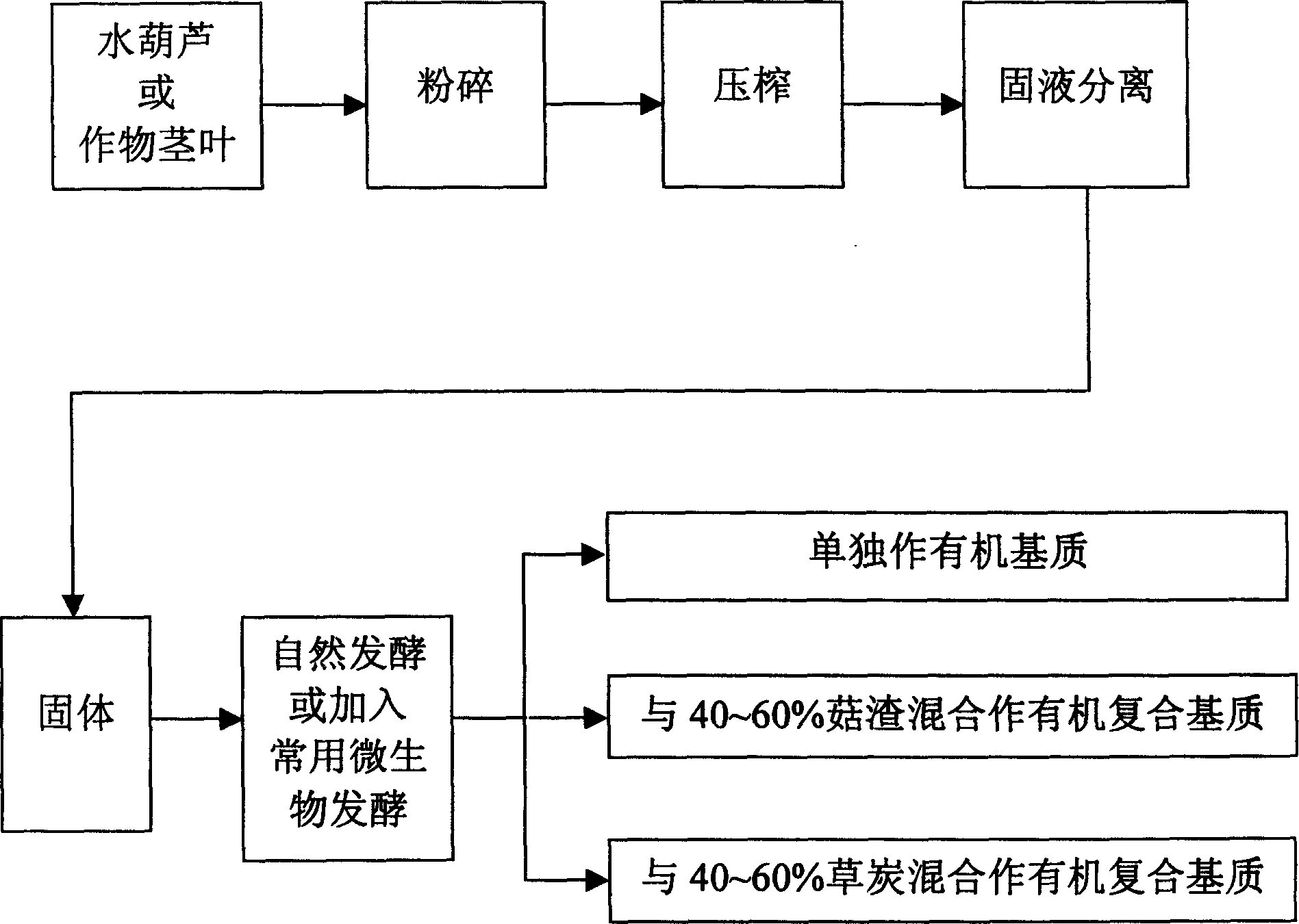 Technique for producing organic matrix from hyacinth, stem and leaf of crop