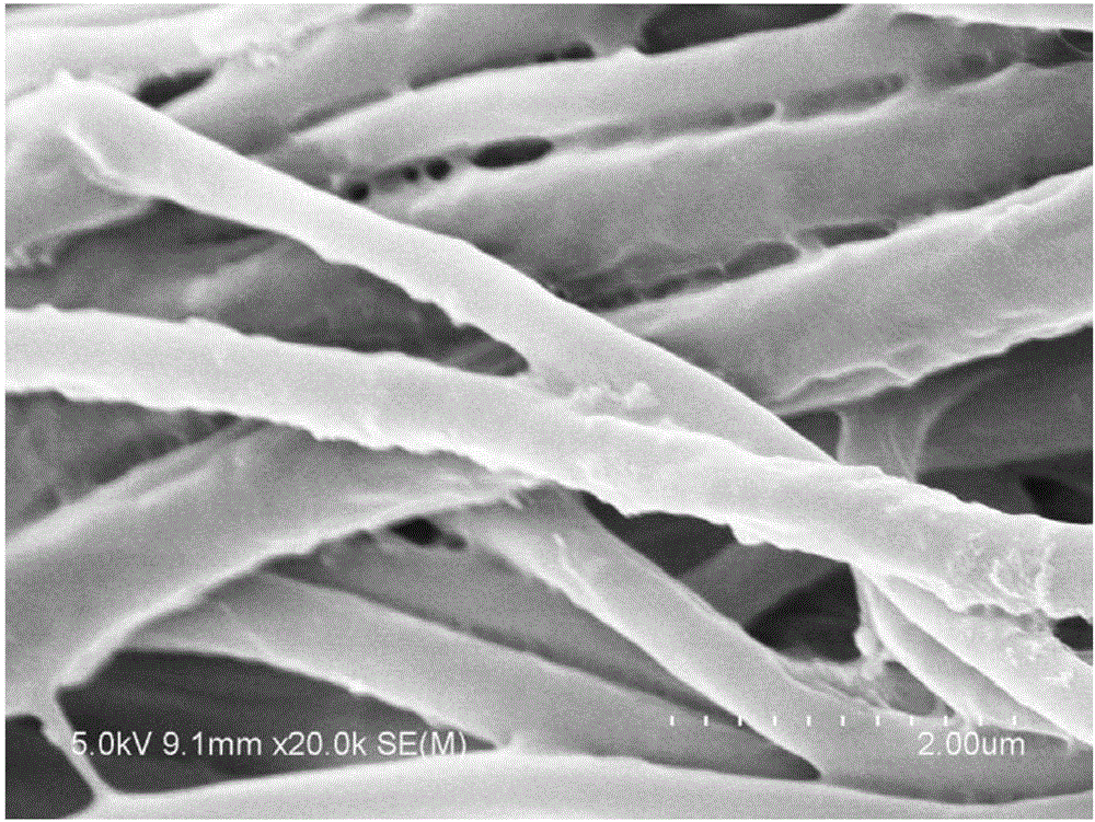 Preparation method of hyaluronic acid blended nanofiber immobilized enzyme