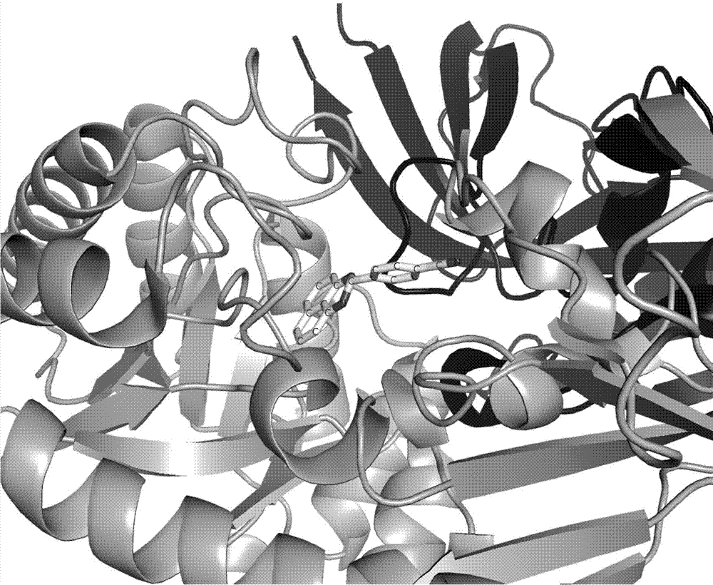 Small molecule inhibitor and application thereof