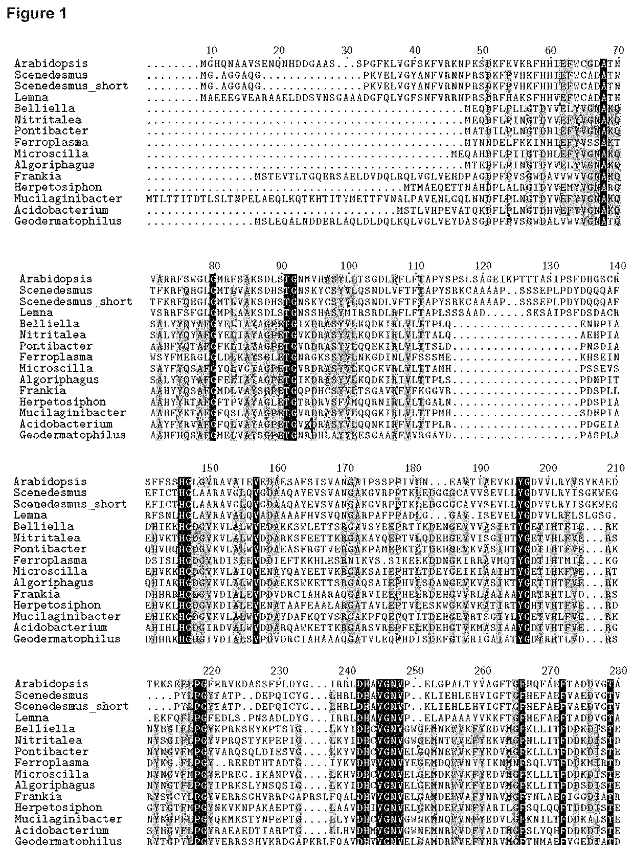 Herbicide-resistant hydroxyphenylpyruvate dioxygenases