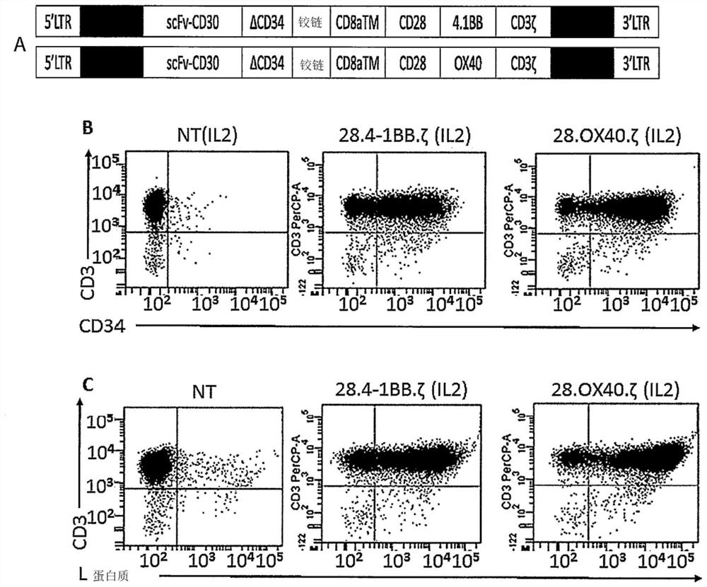 Car-cd30 t cells for treatment of cd30+ tumors