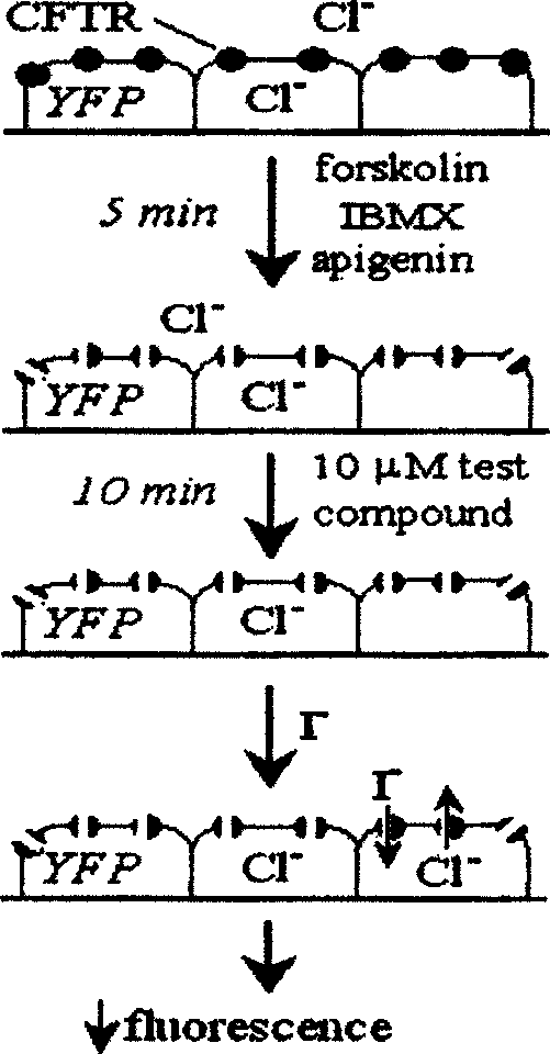 Application of pyrimidone compounds in preparing medicine