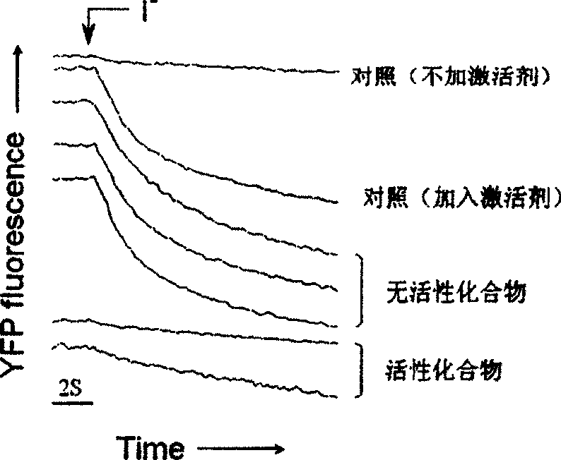 Application of pyrimidone compounds in preparing medicine