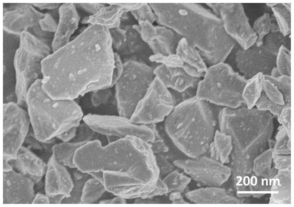 Positive electrode active material and preparation method thereof, all-solid lithium battery