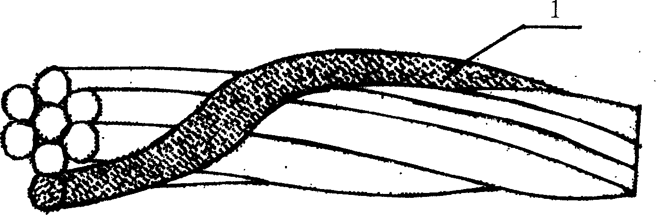 Snake type fiber-optical sensor burying and detecting method and its snake type fibre-optical sensor