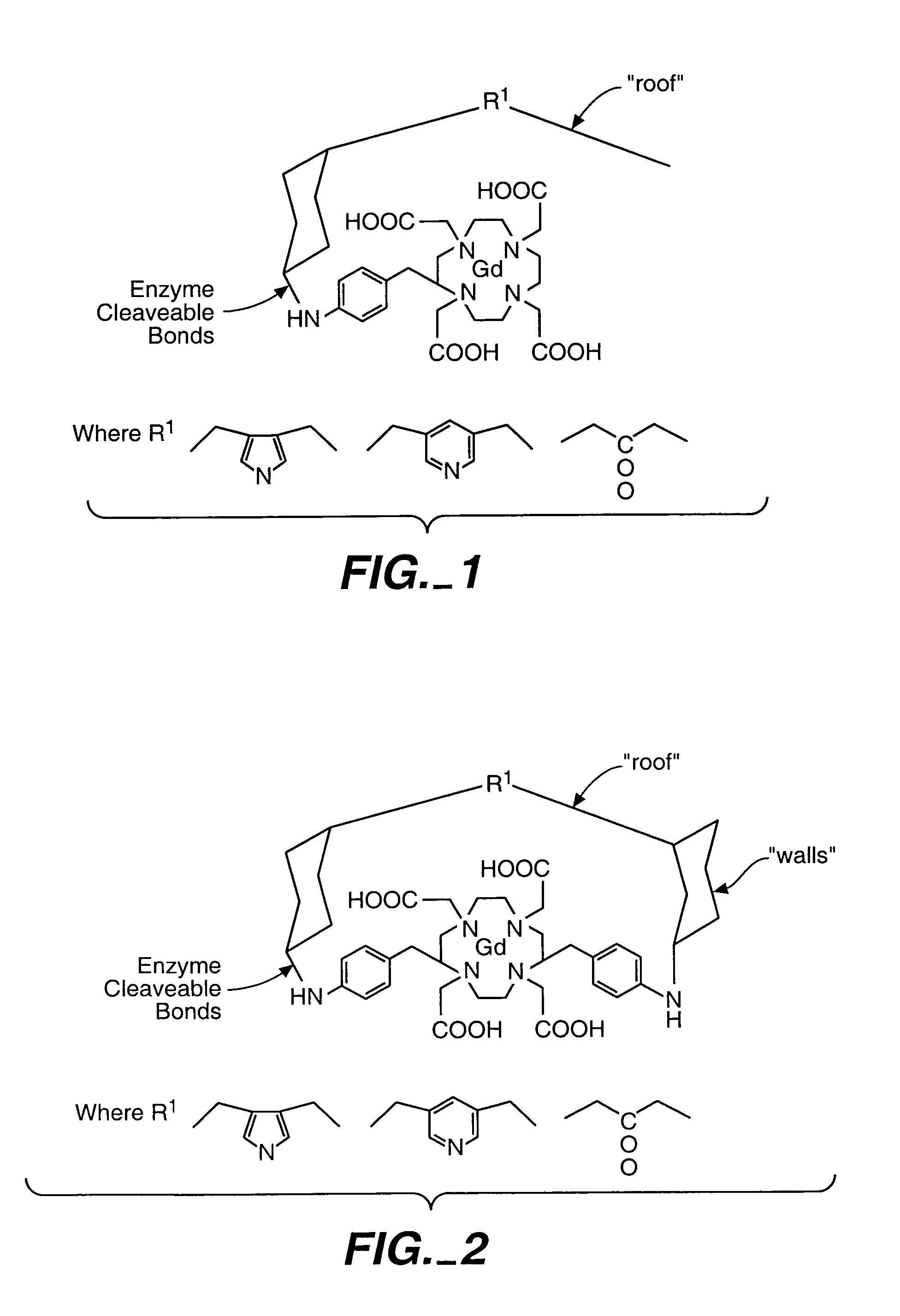 Magnetic resonance imaging agents for the detection of physiological agents