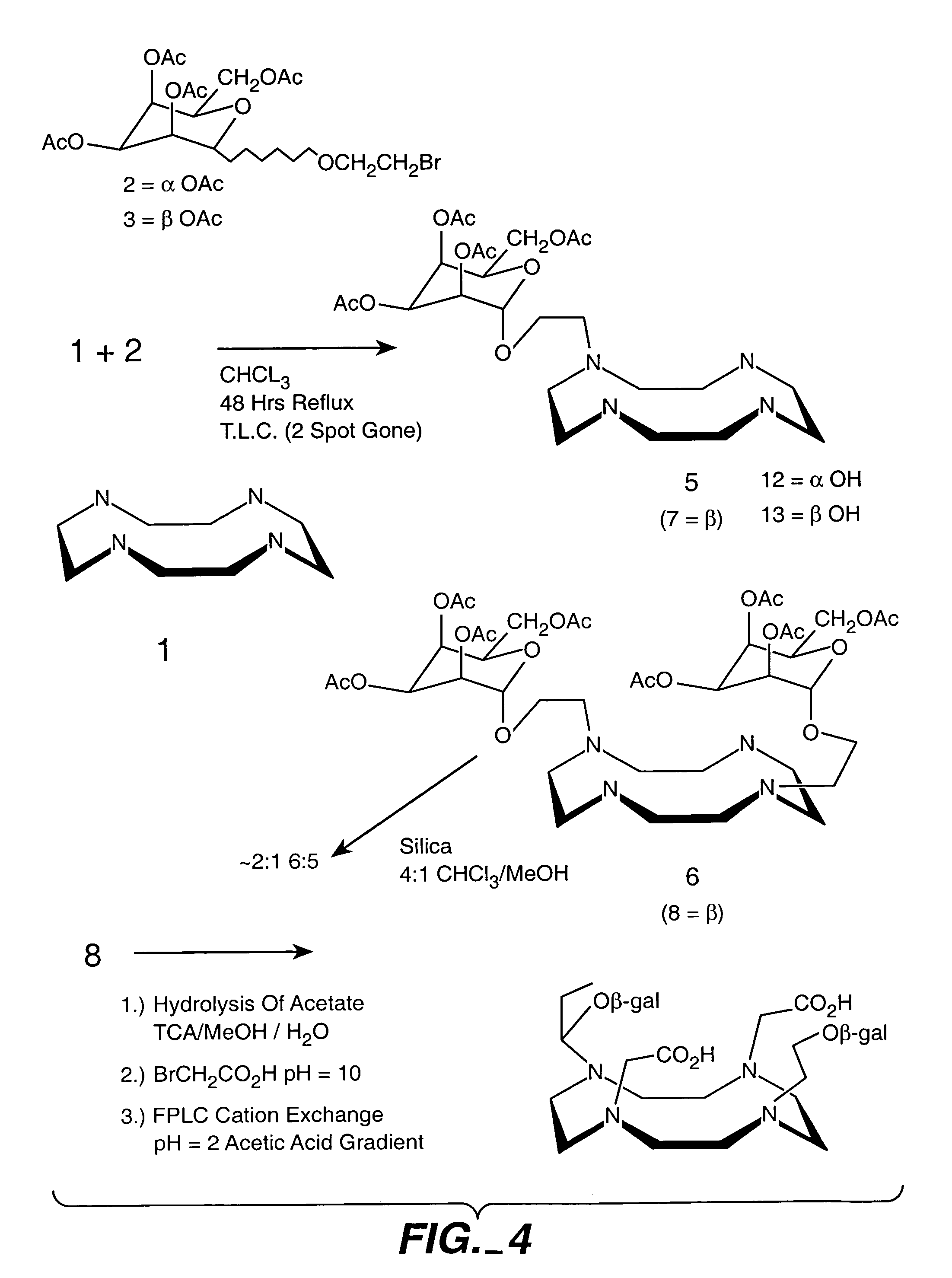 Magnetic resonance imaging agents for the detection of physiological agents