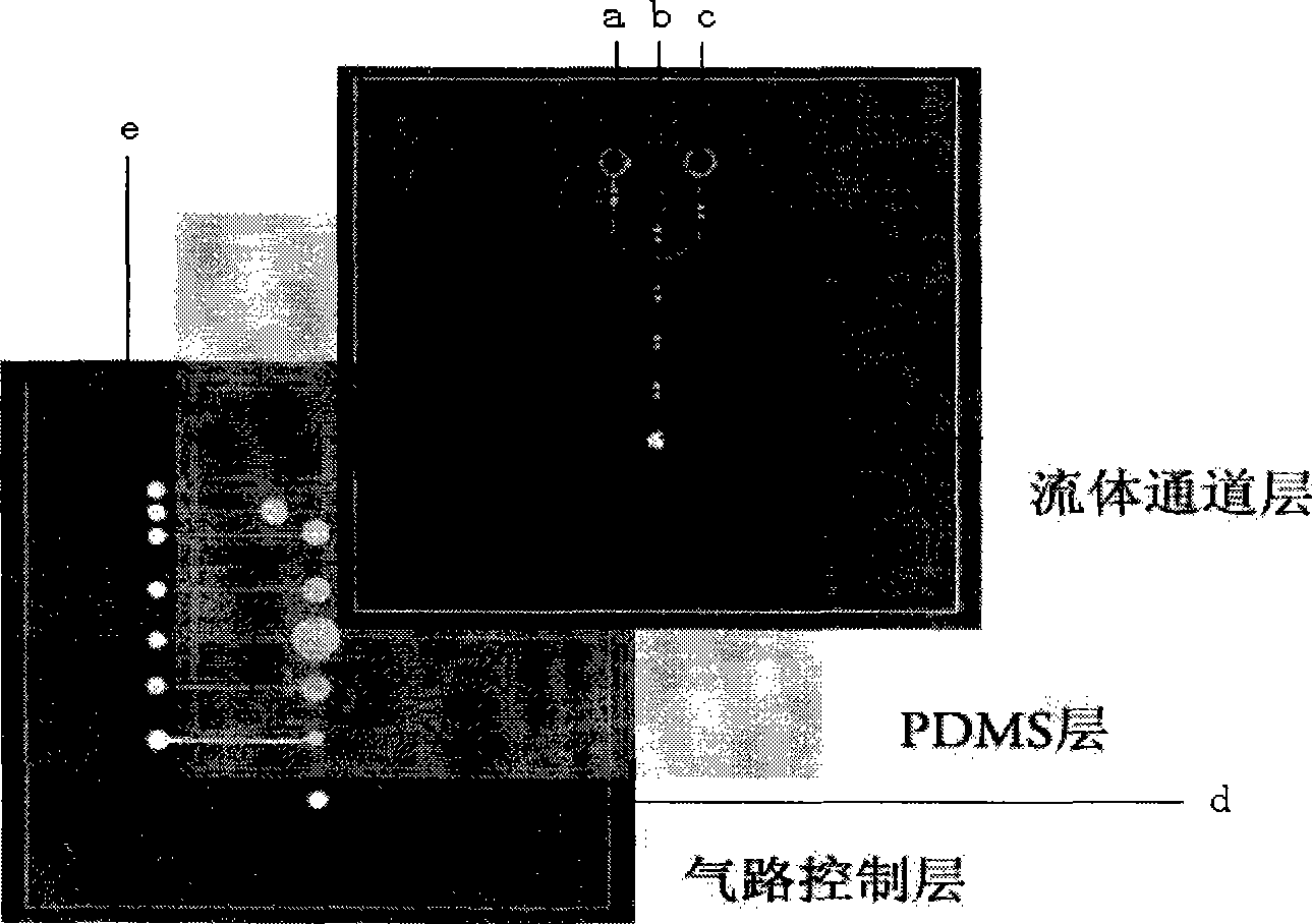 Micro-fluidic chip detecting system using quartz crystal microbalance as transducer