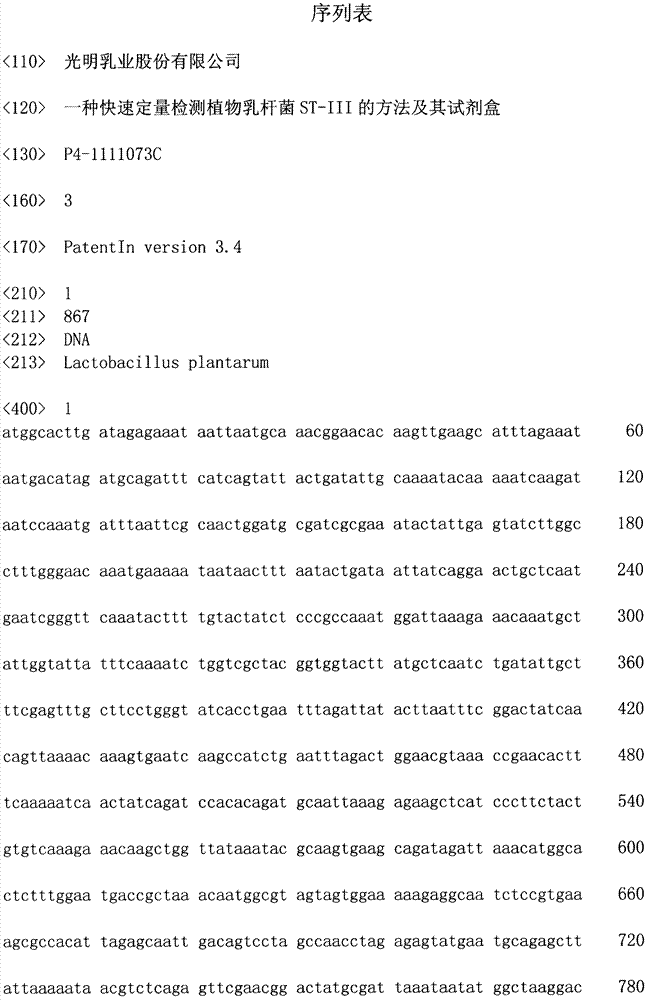 Method and kit for quickly and quantificationally detecting lactobacillus plantarum ST-III