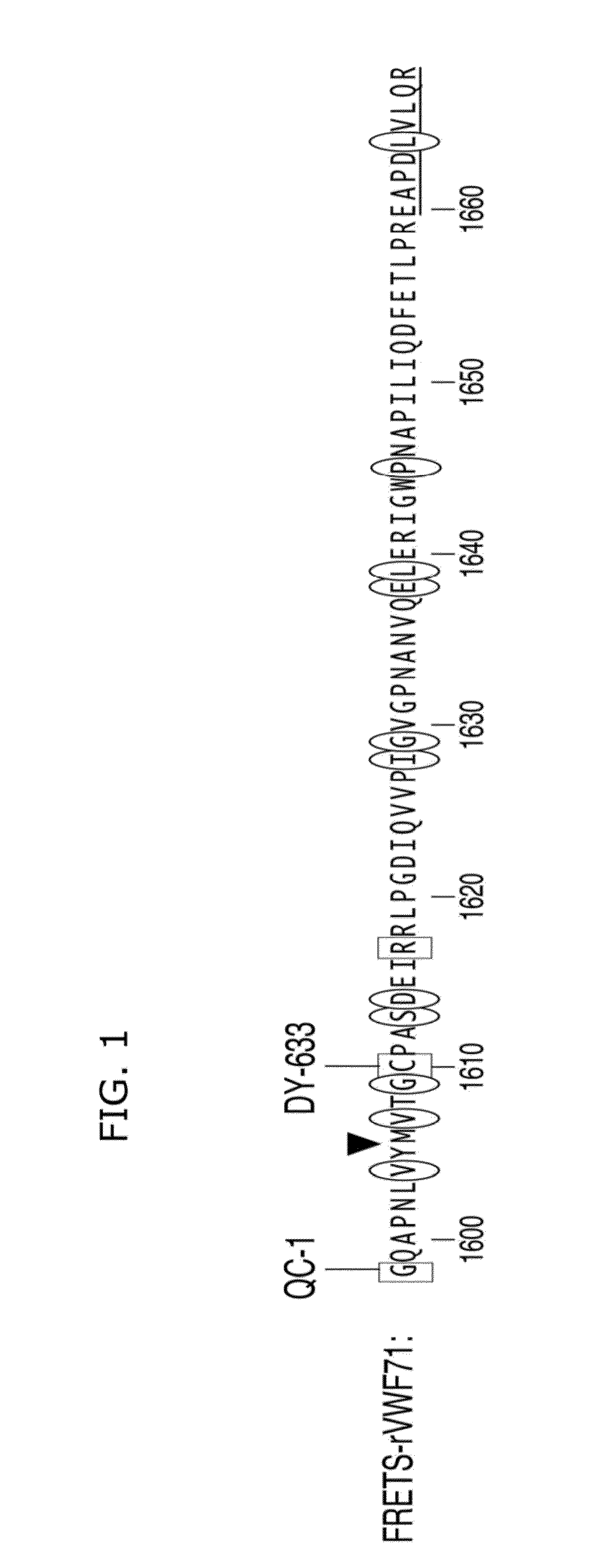 Fluorogenic substrate for ADAMTS13