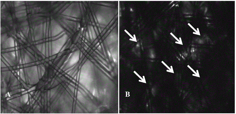 Artificial liver reactor as well as preparation method and applications thereof