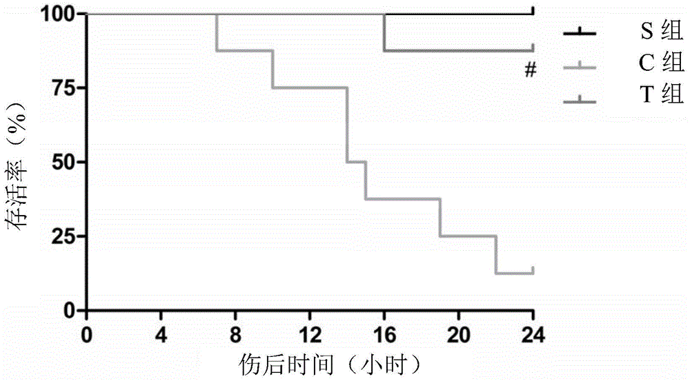 Application of histone deacetylase inhibitor in preparing antishock medicine