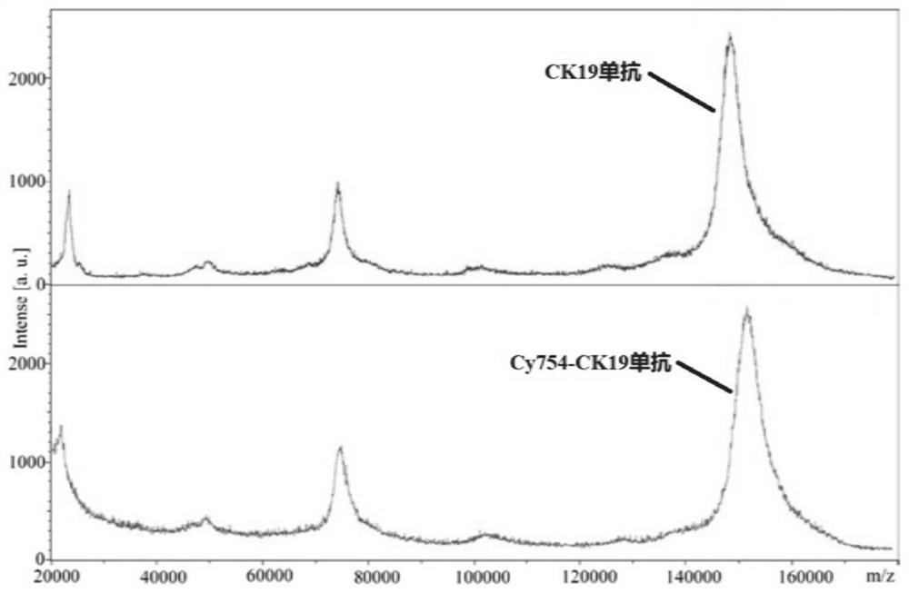 Breast cancer sentinel lymph node metastasis in-vivo fluorescence targeting tracer agent and preparation method thereof