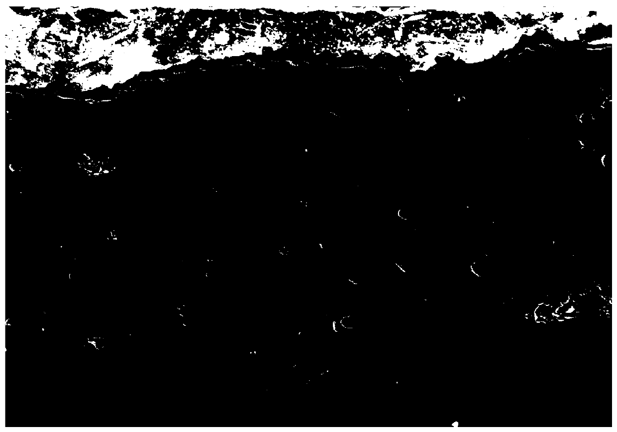 Plasma spraying high-temperature-erosion-resistant high-entropy amorphous powder and coating thereof, coating preparation method and application