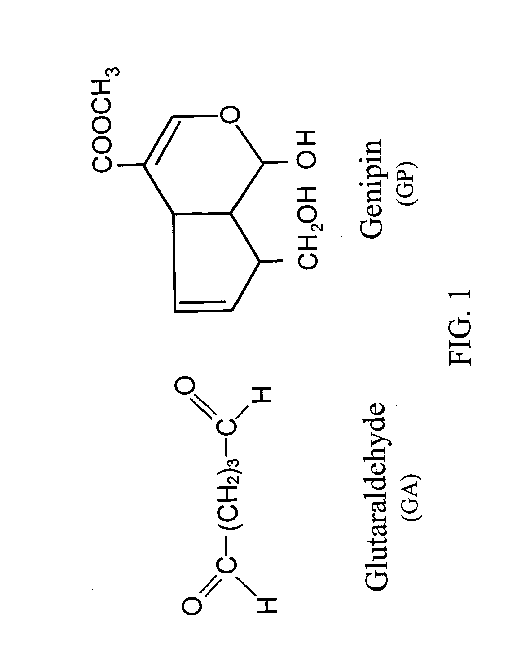 Crosslinkable biological material and medical uses