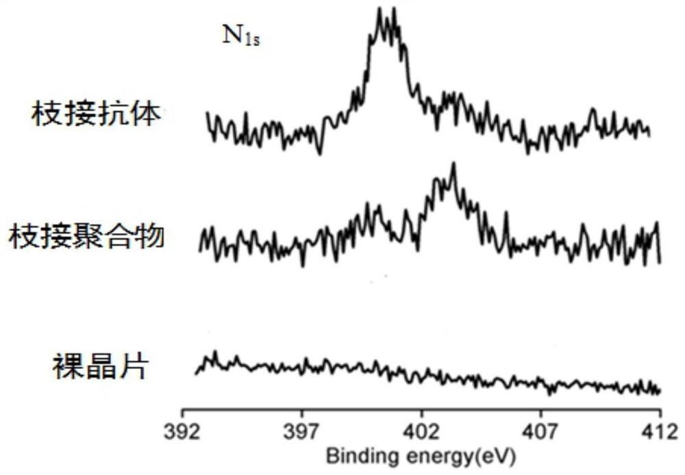 A kind of surface modification method of qcm wafer