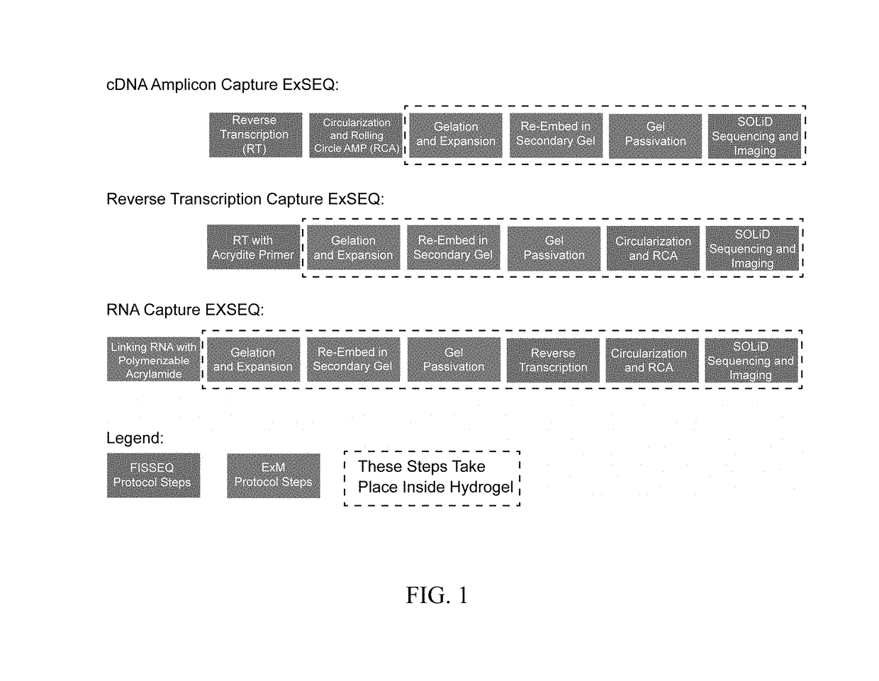 In situ nucleic acid sequencing of expanded biological samples