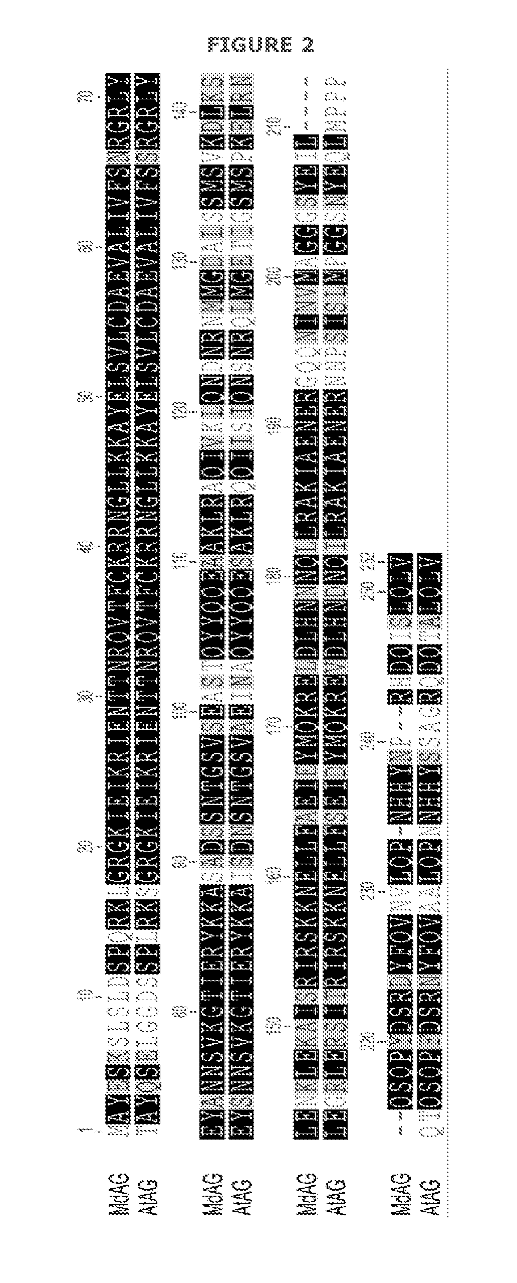 Methods and Materials for Producing Coreless Fruit