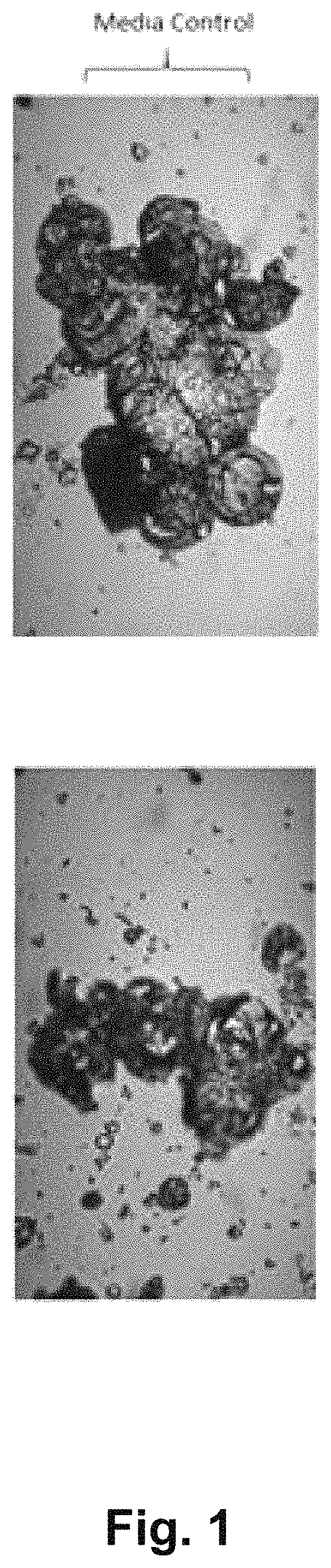 Methods for the production and use of myceliated high protein food compositions