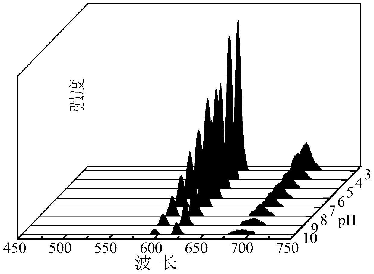 Ratio type red light emitting fluorescent material and application of fluorescent material as ratio type fluorescent pH probe