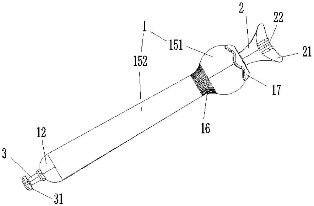 Vagina cleaning device