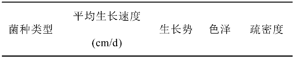 Method for preparing third-level strain of pleurotus eryngii