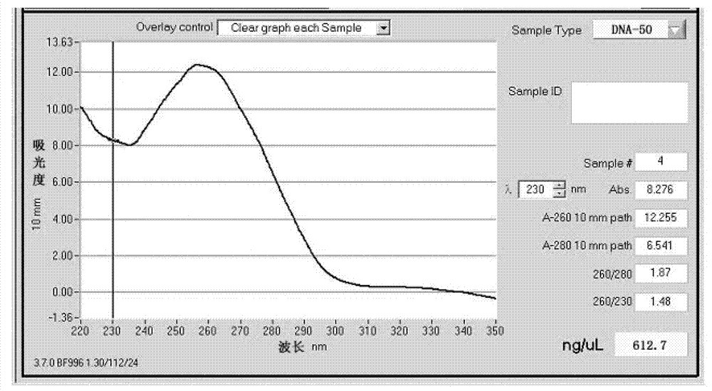 Method for extracting genome DNA (deoxyribonucleic acid) from peanuts