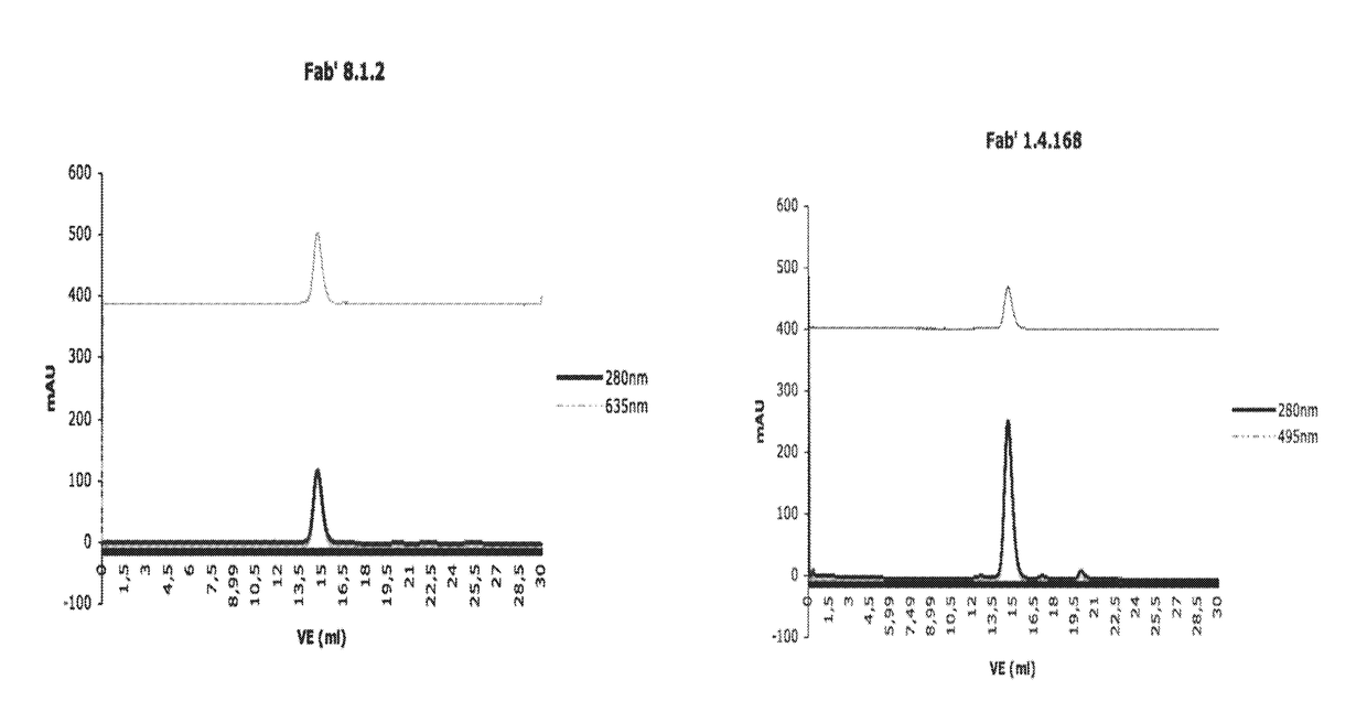 Detection of a posttranslationally modified polypeptide by a bivalent binding agent