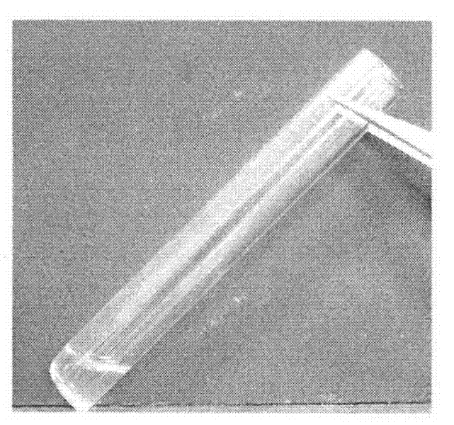 Thiolated-chitosan-based temperature-sensitive in-situ hydrogel as well as preparation method and uses thereof