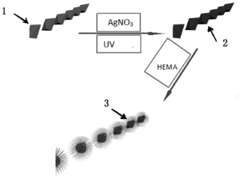 Method for preparing polyhydroxyethyl methacrylate-titanium dioxide nanometer hybrid material